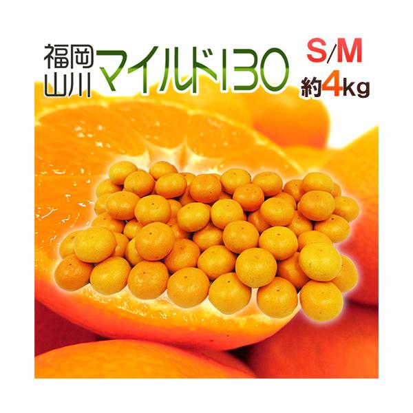 みかん 山川みかん ”福岡産 マイルド130” 秀品 S/Mサイズ 約4kg【予約
