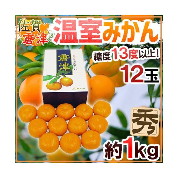 みかん 佐賀産 JAからつ ”唐津 温室みかん” 12玉 約1kg 糖度13度以上