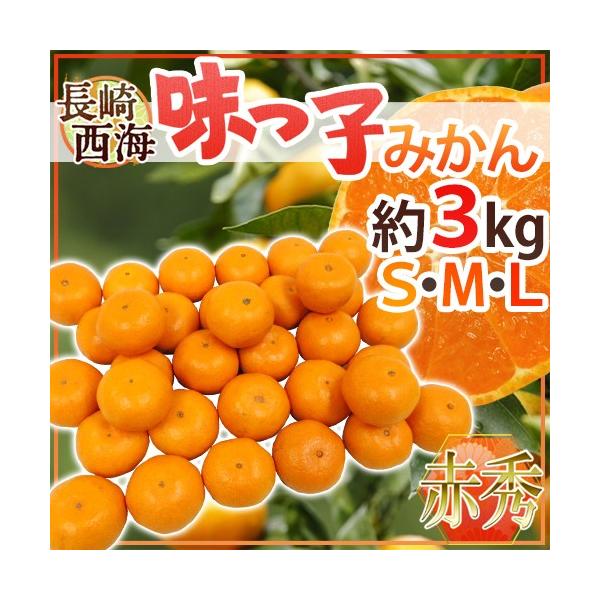 ݂  C hq݂h ԏGi S/M/LTCY 3kg Œᓜx13xۏ؁y\ 11{ȍ~z 