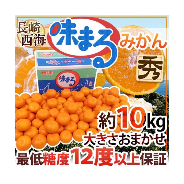 ݂  C h܂݂h Gi 10kg 傫܂ Ynϔ Œᓜx12xۏ؁y\ 11{ȍ~z 