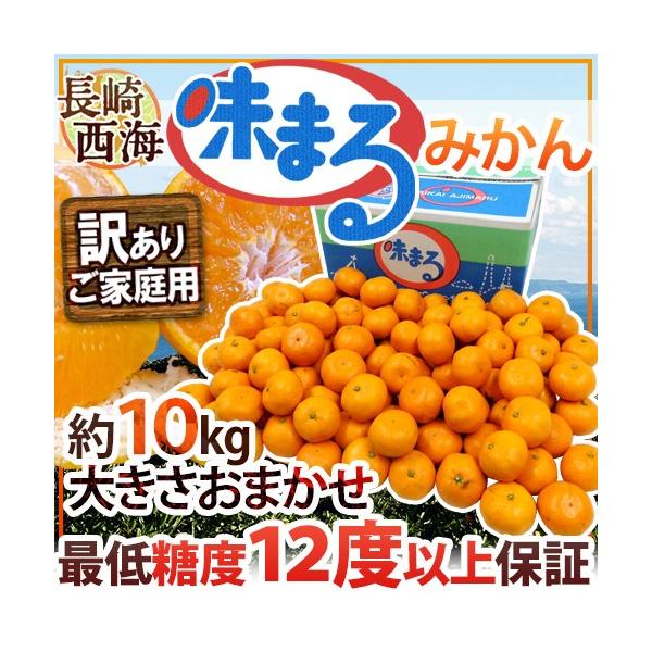 ݂ Y C h܂݂h 󂠂 10kg 傫܂ Ynϔ Œᓜx12xۏ؁y\ 11{ȍ~z 