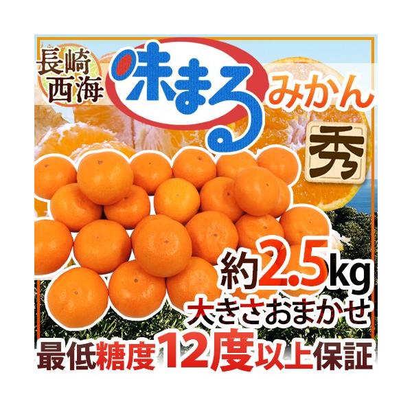 ݂  C h܂݂h Gi 2.5kg 傫܂ Ynϔ Œᓜx12xۏ؁y\ 11{ȍ~z 