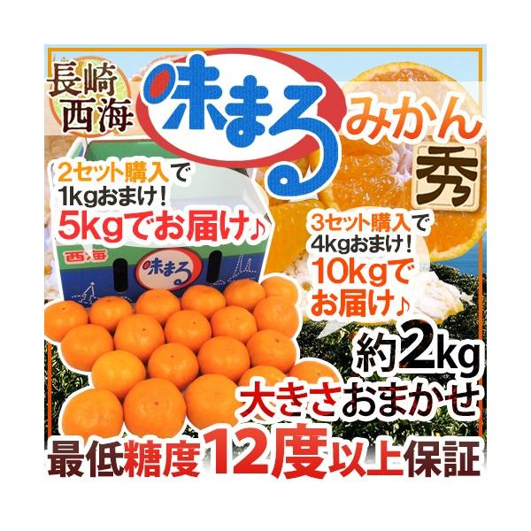 ݂  C h܂݂h Gi 2kg 傫܂s2Zbgw1kgA3Zbgw4kg܂tŒᓜx12xۏ؁y\ 11{ȍ~z 