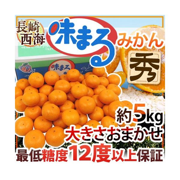 ݂  C h܂݂h Gi 5kg 傫܂ Ynϔ Œᓜx12xۏ؁y\ 11{ȍ~z 