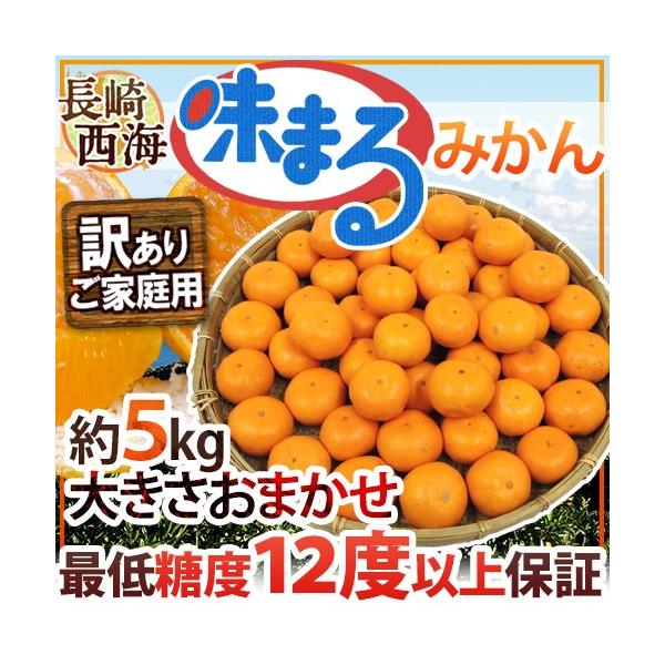 ݂  C h܂݂h 󂠂 5kg 傫܂ Ynϔ Œᓜx12xۏ؁y\ 11{ȍ~z 