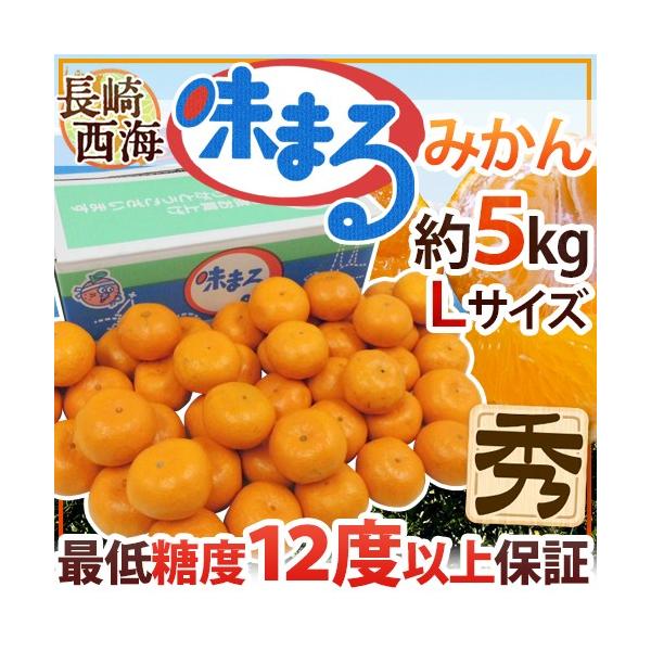 ݂  C h܂݂h Gi LTCY 5kg Ynϔ Œᓜx12xۏ؁y\ 11{ȍ~z 