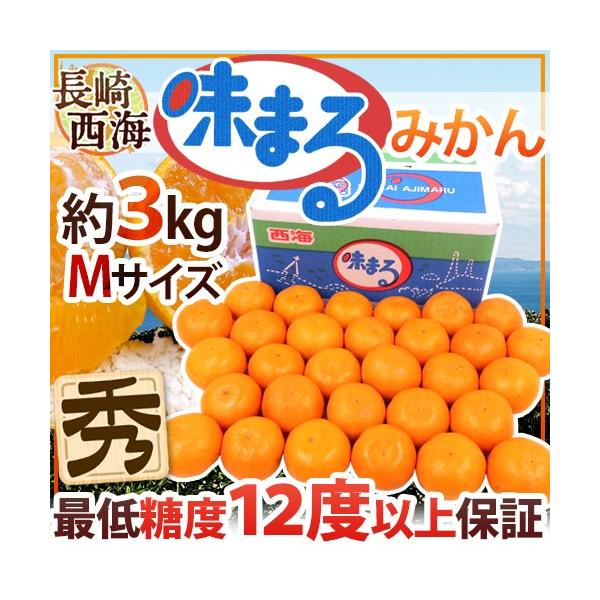 ݂  C h܂݂h Gi MTCY 3kg Ynϔ Œᓜx12xۏ؁y\ 11{ȍ~z 