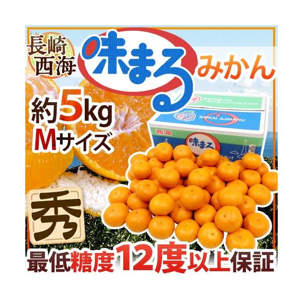 ݂  C h܂݂h Gi MTCY 5kg Ynϔ Œᓜx12xۏ؁y\ 11{ȍ~z 