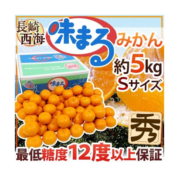 ݂  C h܂݂h Gi STCY 5kg Ynϔ Œᓜx12xۏ؁y\ 11{ȍ~z 