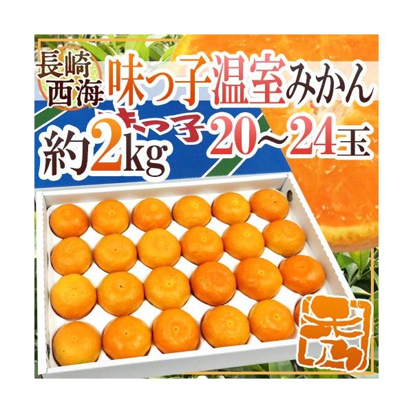 味っ子みかん」の人気商品一覧 | 安い商品を通販サイトから探す - 価格.com