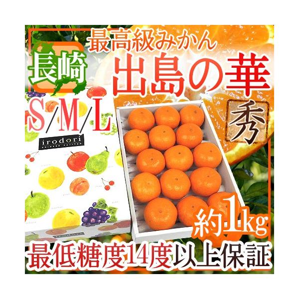 ݂ hY ỏ؁h Gi S/M/LTCY 1kg ϔ ܂Eq̍ŏʓy\ 12{ȍ~z 