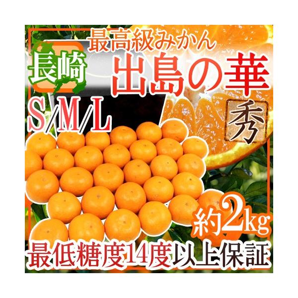 ݂ hY ỏ؁h Gi S/M/LTCY 2kg ϔ ܂Eq̍ŏʓy\ 12{ȍ~z 