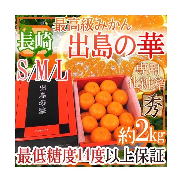 ݂ Y hỏ؁h pϔ Gi S/M/LTCY 2kg ܂Eq̍ŏʓy\ 12{ȍ~z 