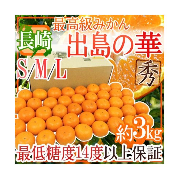 ݂ hY ỏ؁h Gi S/M/LTCY 3kg ϔ ܂Eq̍ŏʓy\ 12{ȍ~z 