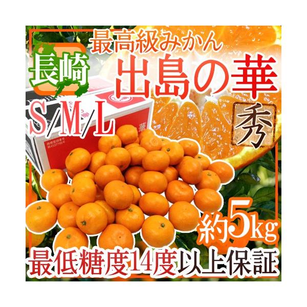 ݂ Y hỏ؁h Gi S/M/LTCY 5kg ܂Eq̍ŏʓy\ 12{ȍ~z 