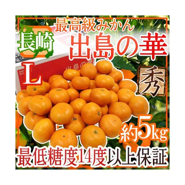 ݂ Y hỏ؁h Gi LTCY 5kg ܂Eq̍ŏʓy\ 12{ȍ~z 