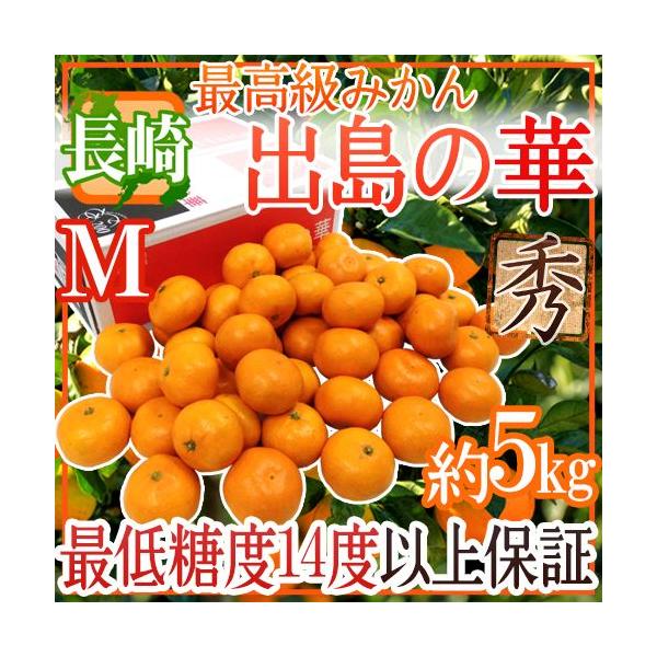 ݂ Y hỏ؁h Gi MTCY 5kg ܂Eq̍ŏʓy\ 12{ȍ~z 