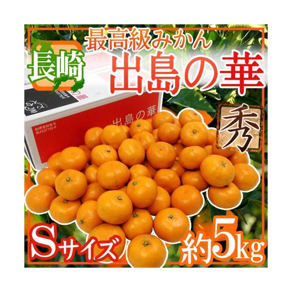 ݂ Y hỏ؁h Gi STCY 5kg ܂Eq̍ŏʓy\ 12{ȍ~z 