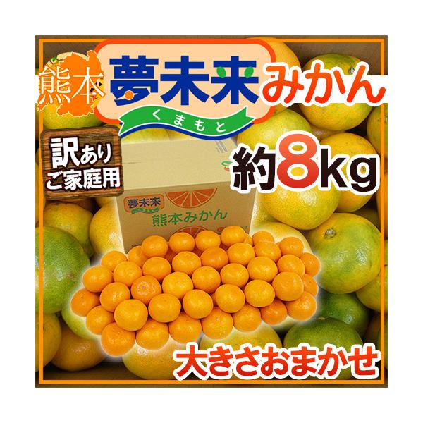 ݂ hF{Y ݂h 󂠂 8kg 傫܂y\ 11{ȍ~z 