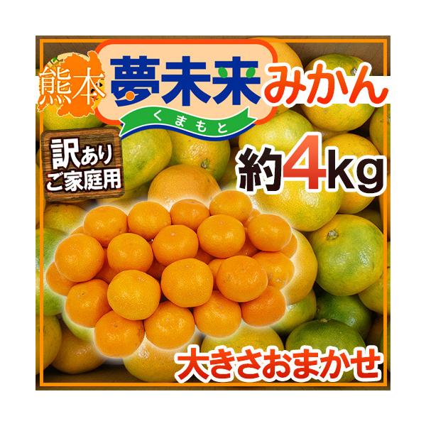 ݂ hF{Y ݂h 󂠂 4kg 傫܂y\ 11{ȍ~z 