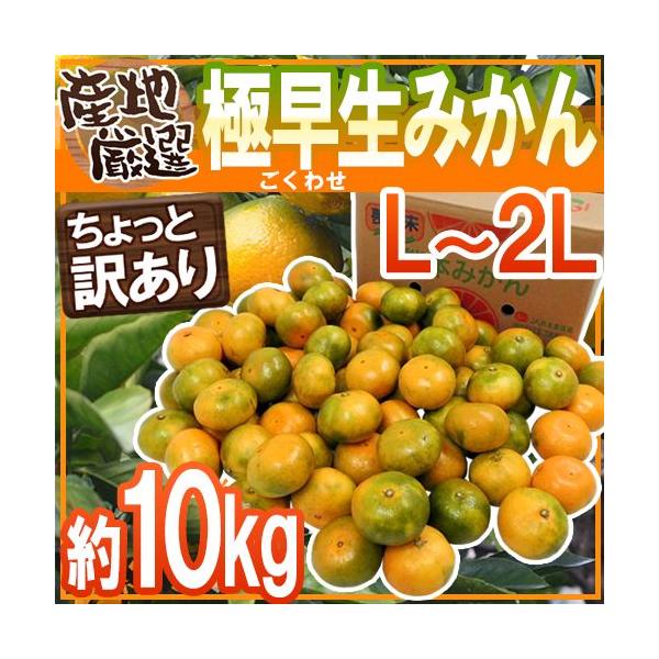 ݂ hɑ݂h Ɩ󂠂 L`2LTCY 10kgy\ 10{ȍ~z 