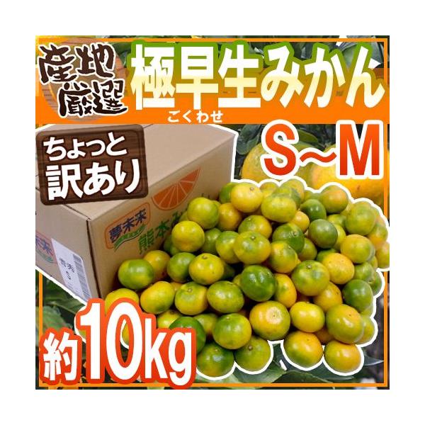 ݂ hɑ݂h Ɩ󂠂 S`MTCY 10kgy\ 10{ȍ~z 