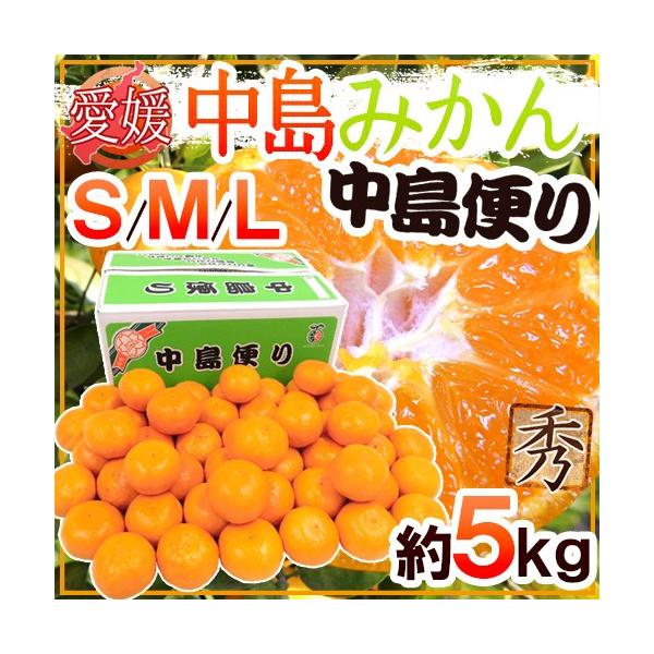 ݂ QY h݂ ւh Gi S/M/LTCY 5kg Ynϔ Q݂y\ 11ȍ~z 