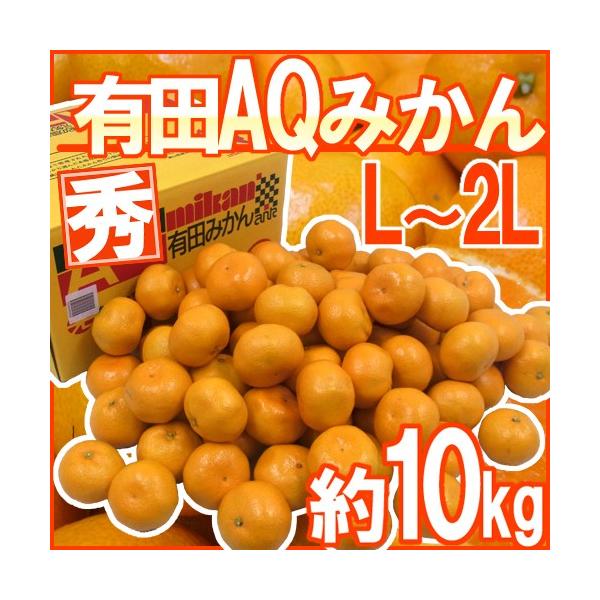 ݂ a̎RY hAQ݂h Gi L/2LTCY 10kg Lc݂y\ 11ȍ~z 