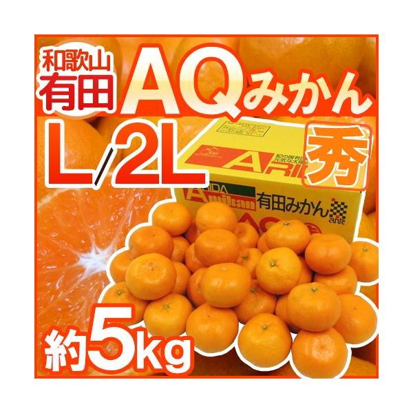 ݂ a̎RY hAQ݂h Gi L/2L 5kg Lc݂y\ 11ȍ~z 