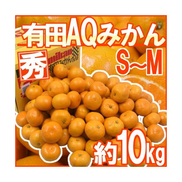 ݂ a̎RY hAQ݂h Gi S`MTCY 10kg Lc݂y\ 11ȍ~z 