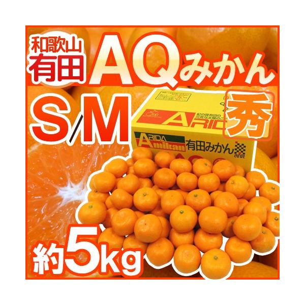 ݂ a̎RY hAQ݂h Gi S/M 5kg Lc݂y\ 11ȍ~z 