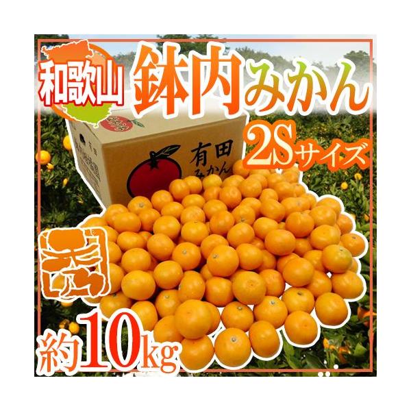 ݂ a̎RELcY h݂h Gi 2STCY 10kg ݂͂y\ 11ȍ~z 