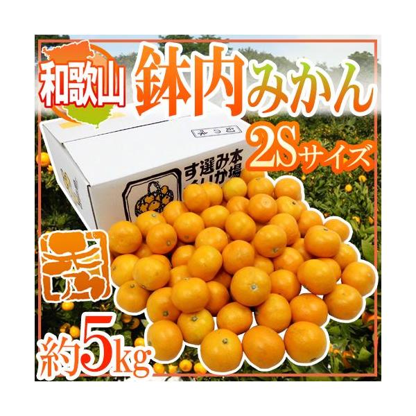 ݂ ha̎RELcY ݂h Gi 2STCY 5kg ݂͂y\ 11ȍ~z 