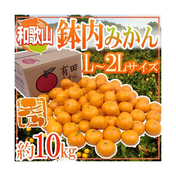 ݂ a̎RELcY h݂h Gi L`2LTCY 10kg ݂͂y\ 11ȍ~z 