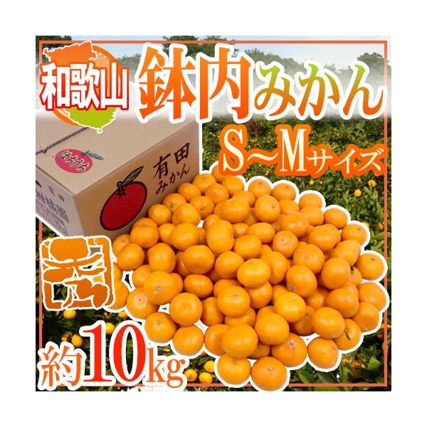 ݂ a̎RELcY h݂h Gi S`MTCY 10kg ݂͂y\ 11ȍ~z 