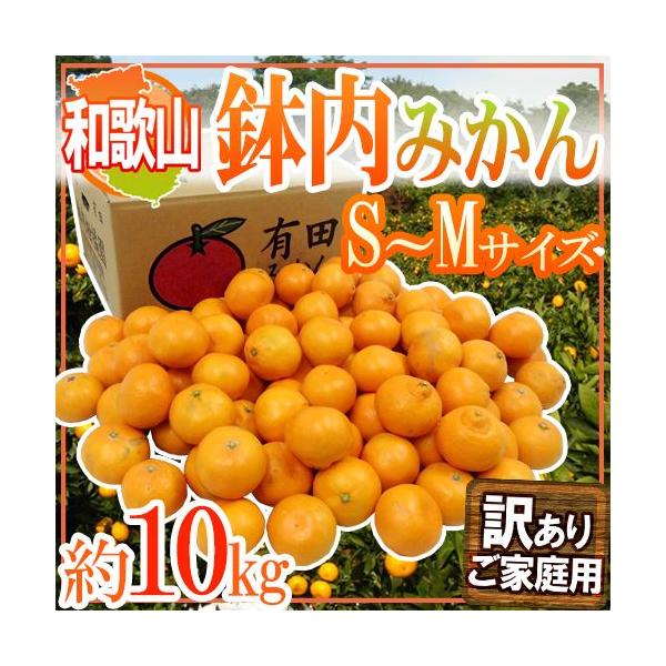 ݂ a̎RELcY h݂h 󂠂 S`MTCY 10kg ݂͂y\ 11ȍ~z 