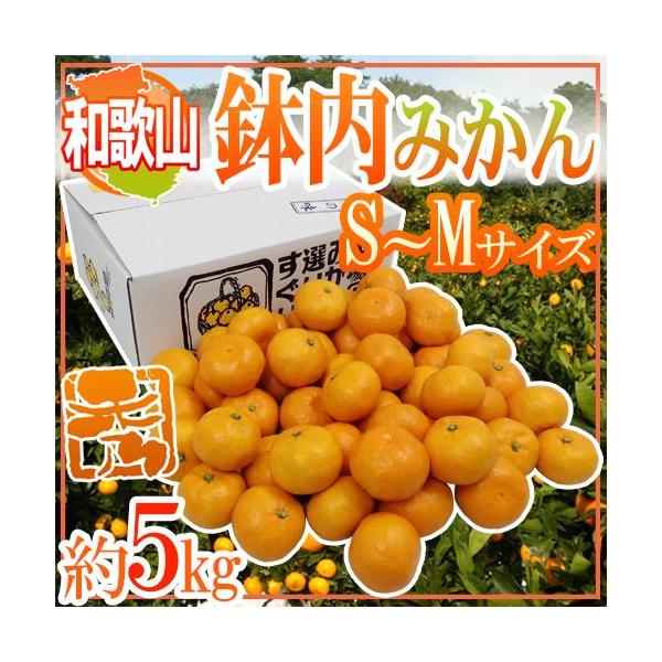 ݂ ha̎RELcY ݂h Gi S`MTCY 5kg ݂͂y\ 11ȍ~z 