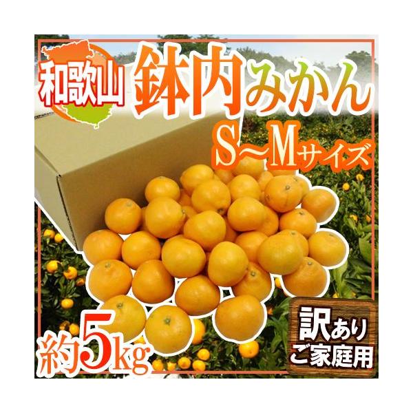 ݂ ha̎RELcY ݂h 󂠂 S`MTCY 5kg ݂͂y\ 11ȍ~z 