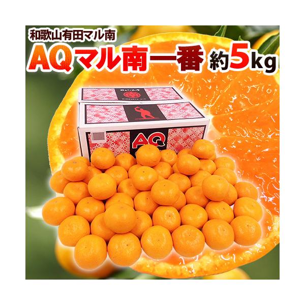 ݂ a̎RY hAQ}ԁh Gi S/M/L 5kg x12xȏ Lc݂ }i AQ݂y\ 11ȍ~z 