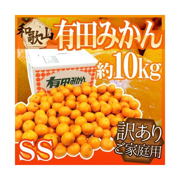݂ a̎RY hLc݂h 󂠂 E SSTCY 10kg Yn 肾݂y\ 11ȍ~z 