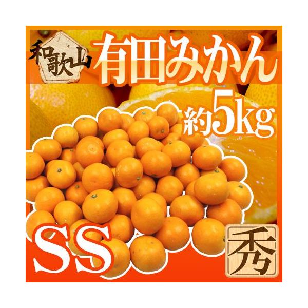 ݂ ha̎RY Lc݂h Gi SSTCY 5kg 肾݂y\ 11ȍ~z 