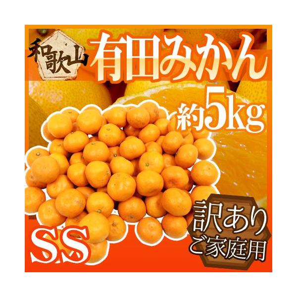 ݂ ha̎RY Lc݂h 󂠂 E SSTCY 5kg 肾݂y\ 11ȍ~z 