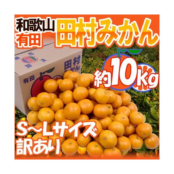 ݂ a̎RLcY hc݂h 󂠂 S`LTCY 10kgy\ 11ȍ~z 