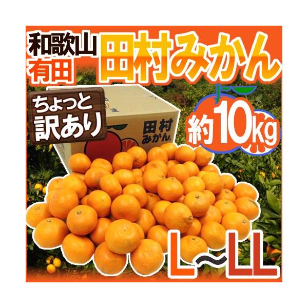 ݂ a̎RLcY hc݂h Ɩ󂠂 L`LL 10kg Yny\ 11ȍ~z 