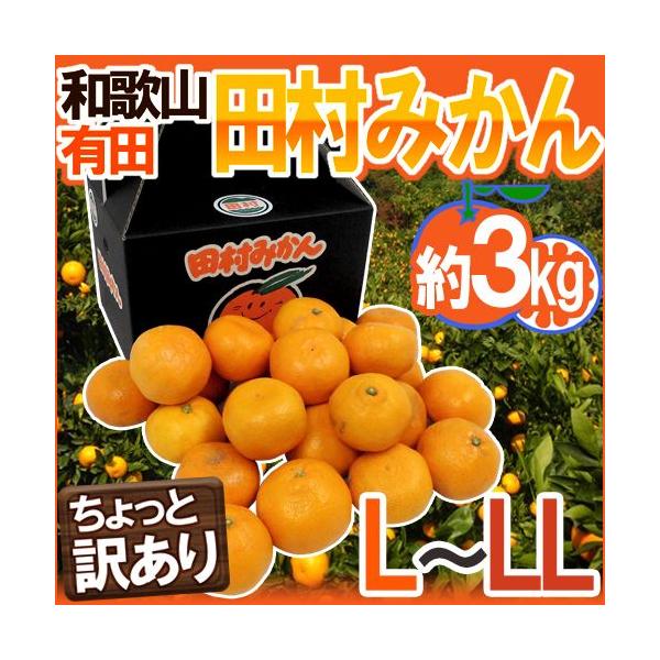 ݂ a̎RLcY hc݂h Ɩ󂠂 L`LL 3kg ϔy\ 11ȍ~z 