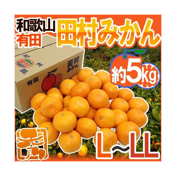 ݂ a̎RLcY hc݂h Gi L`LL 5kg Yny\ 11ȍ~z 