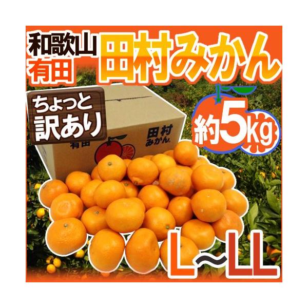 ݂ a̎RLcY hc݂h Ɩ󂠂 L`LL 5kg Yny\ 11ȍ~z 