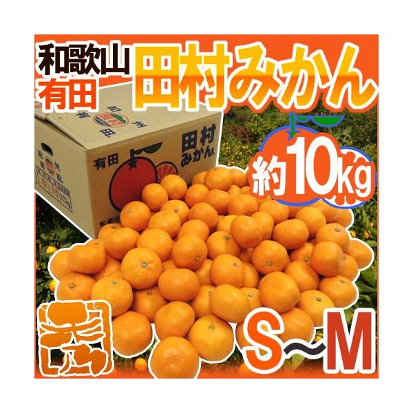 ݂ a̎RLcY hc݂h Gi S`M 10kg Yny\ 11ȍ~z 