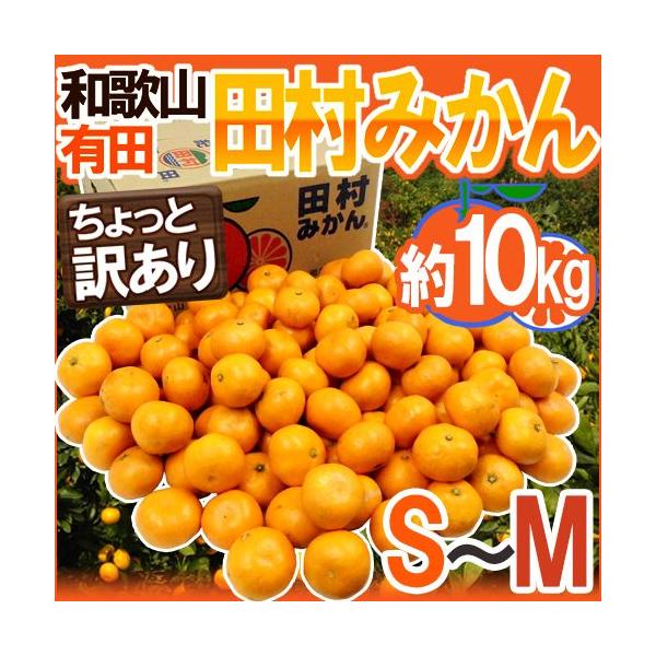 ݂ a̎RLcY hc݂h Ɩ󂠂 S`M 10kg Yny\ 11ȍ~z 