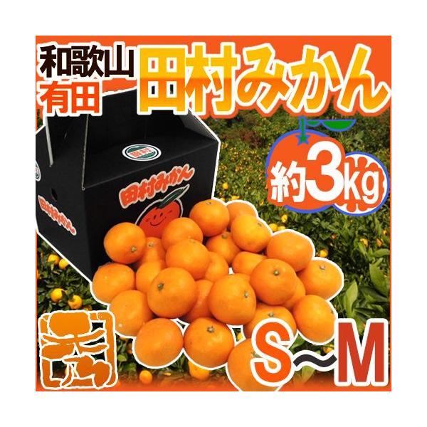 ݂ a̎RLcY hc݂h Gi S`M 3kg ϔy\ 11ȍ~z 